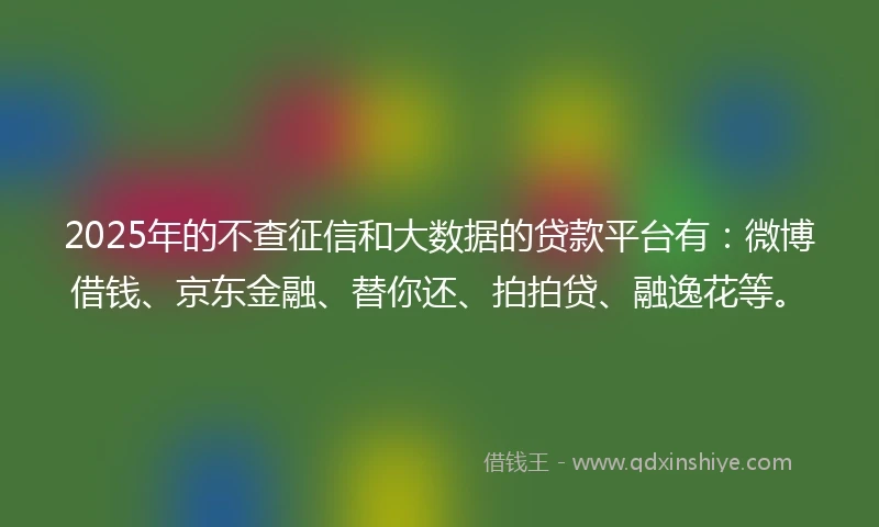 2025年的不查征信和大数据的贷款平台有：微博借钱、京东金融、替你还、拍拍贷、融逸花等。