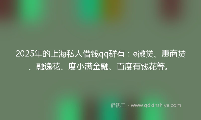 2025年的上海私人借钱qq群有：e微贷、惠商贷、融逸花、度小满金融、百度有钱花等。