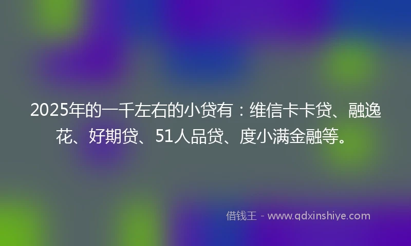 2025年的一千左右的小贷有：维信卡卡贷、融逸花、好期贷、51人品贷、度小满金融等。