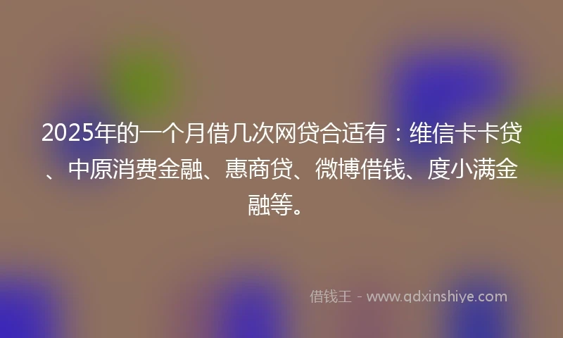 2025年的一个月借几次网贷合适有：维信卡卡贷、中原消费金融、惠商贷、微博借钱、度小满金融等。