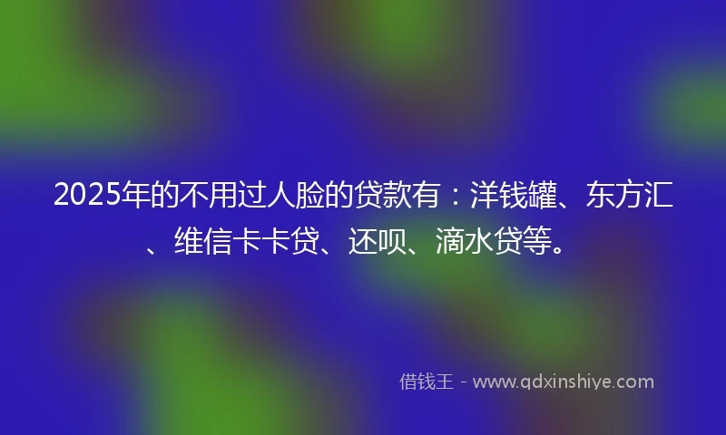 2025年的不用过人脸的贷款有：洋钱罐、东方汇、维信卡卡贷、还呗、滴水贷等。