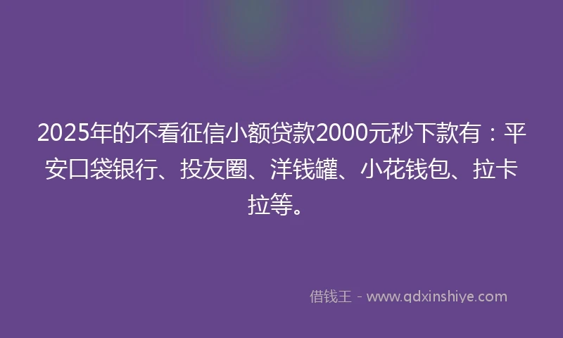 2025年的不看征信小额贷款2000元秒下款有：平安口袋银行、投友圈、洋钱罐、小花钱包、拉卡拉等。