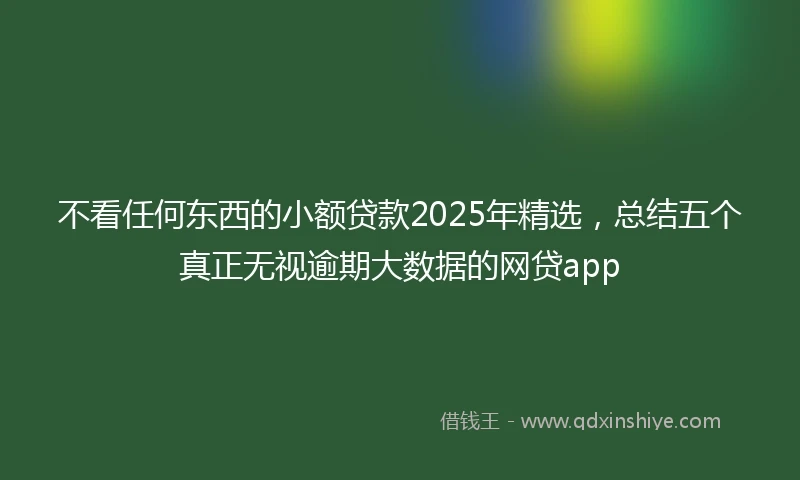 不看任何东西的小额贷款2025年精选，总结五个真正无视逾期大数据的网贷app