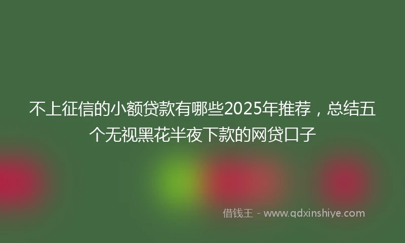 不上征信的小额贷款有哪些2025年推荐，总结五个无视黑花半夜下款的网贷口子
