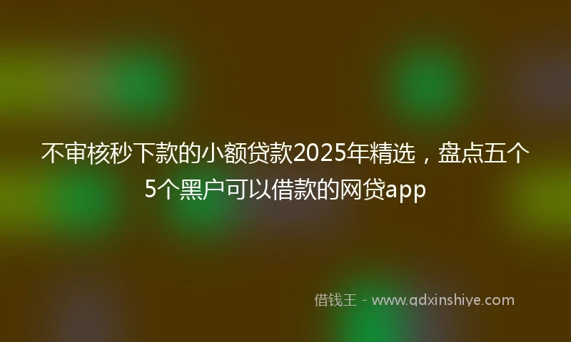 不审核秒下款的小额贷款2025年精选，盘点五个5个黑户可以借款的网贷app