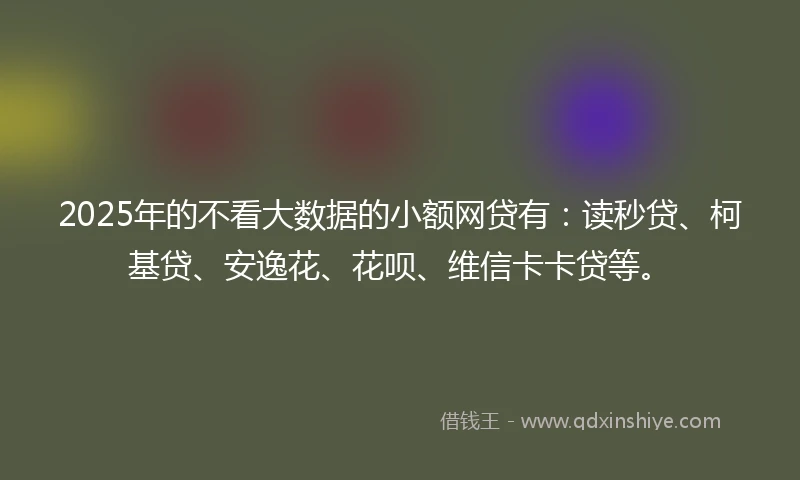 2025年的不看大数据的小额网贷有：读秒贷、柯基贷、安逸花、花呗、维信卡卡贷等。