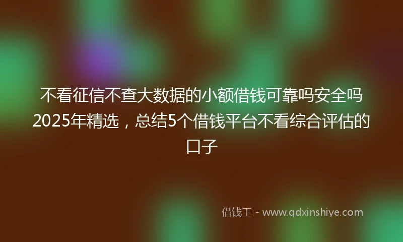 不看征信不查大数据的小额借钱可靠吗安全吗2025年精选，总结5个借钱平台不看综合评估的口子
