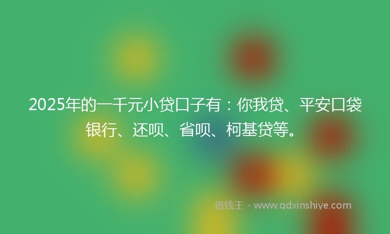 2025年的一千元小贷口子有：你我贷、平安口袋银行、还呗、省呗、柯基贷等。