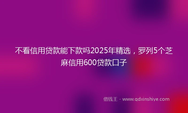 不看信用贷款能下款吗2025年精选，罗列5个芝麻信用600贷款口子