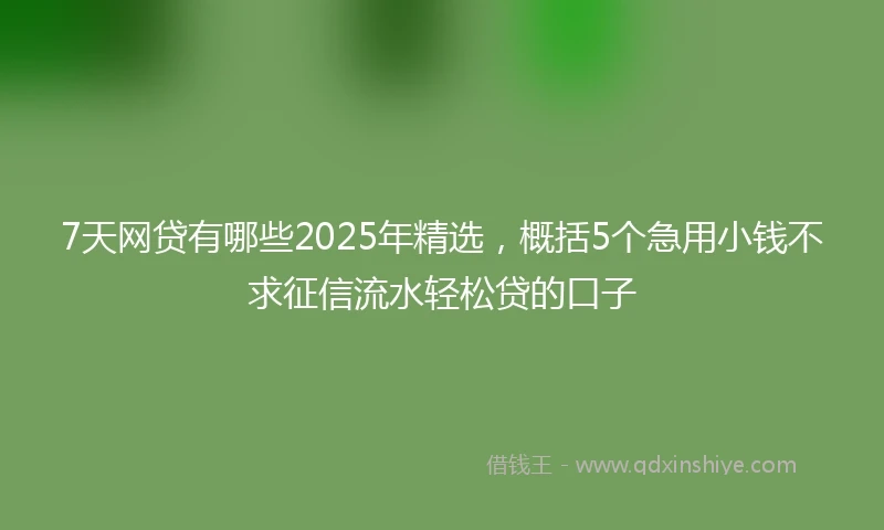 7天网贷有哪些2025年精选，概括5个急用小钱不求征信流水轻松贷的口子