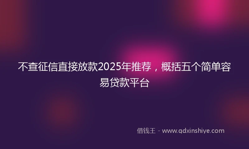 不查征信直接放款2025年推荐，概括五个简单容易贷款平台