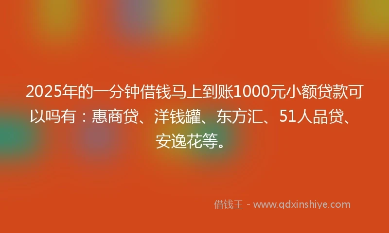 2025年的一分钟借钱马上到账1000元小额贷款可以吗有：惠商贷、洋钱罐、东方汇、51人品贷、安逸花等。