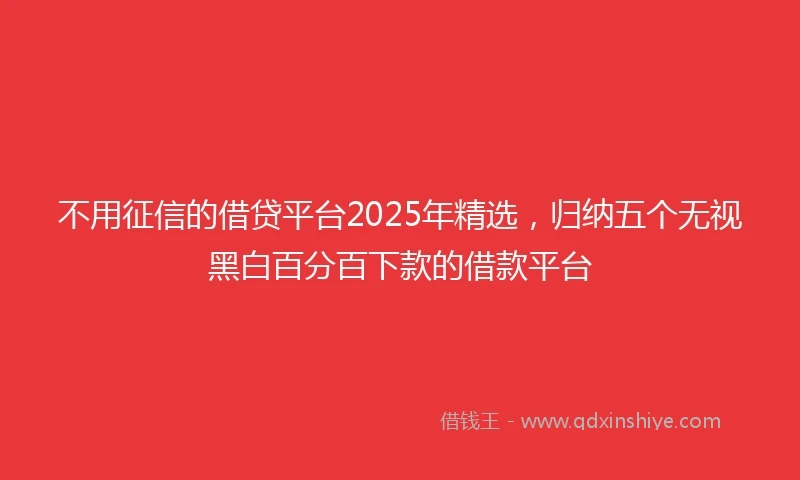不用征信的借贷平台2025年精选，归纳五个无视黑白百分百下款的借款平台
