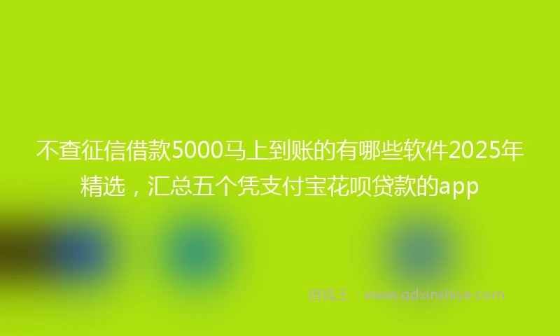 不查征信借款5000马上到账的有哪些软件2025年精选，汇总五个凭支付宝花呗贷款的app