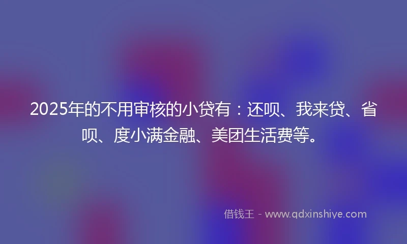 2025年的不用审核的小贷有：还呗、我来贷、省呗、度小满金融、美团生活费等。