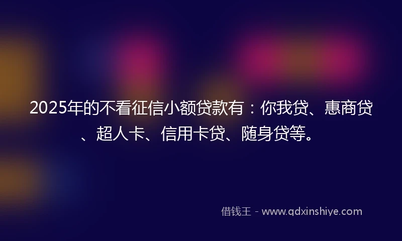 2025年的不看征信小额贷款有：你我贷、惠商贷、超人卡、信用卡贷、随身贷等。