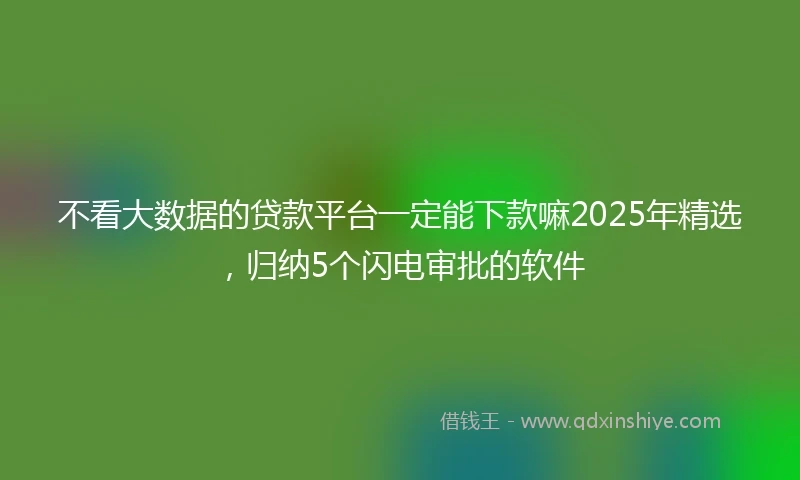 不看大数据的贷款平台一定能下款嘛2025年精选，归纳5个闪电审批的软件