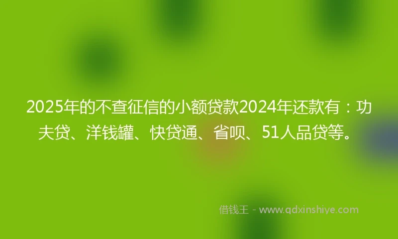 2025年的不查征信的小额贷款2024年还款有：功夫贷、洋钱罐、快贷通、省呗、51人品贷等。