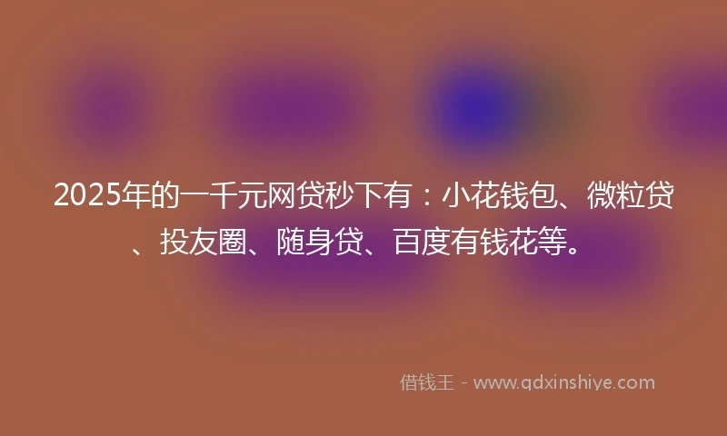 2025年的一千元网贷秒下有：小花钱包、微粒贷、投友圈、随身贷、百度有钱花等。