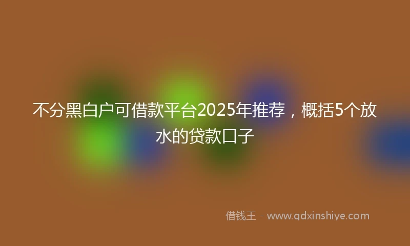 不分黑白户可借款平台2025年推荐，概括5个放水的贷款口子