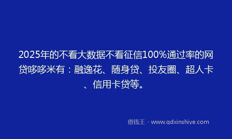2025年的不看大数据不看征信100%通过率的网贷哆哆米有：融逸花、随身贷、投友圈、超人卡、信用卡贷等。