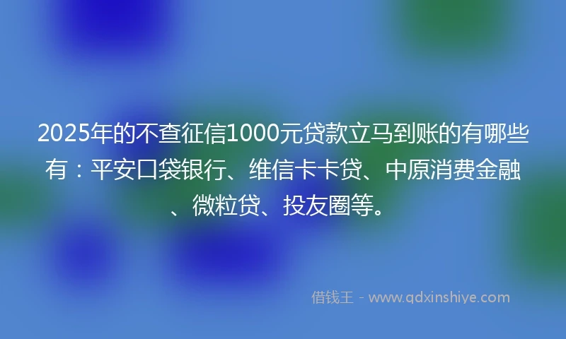 2025年的不查征信1000元贷款立马到账的有哪些有：平安口袋银行、维信卡卡贷、中原消费金融、微粒贷、投友圈等。