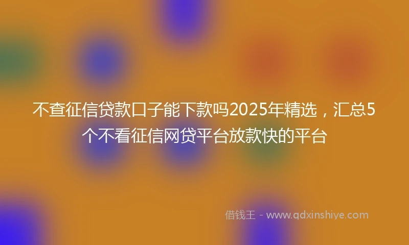 不查征信贷款口子能下款吗2025年精选，汇总5个不看征信网贷平台放款快的平台