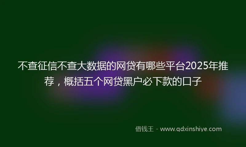 不查征信不查大数据的网贷有哪些平台2025年推荐，概括五个网贷黑户必下款的口子