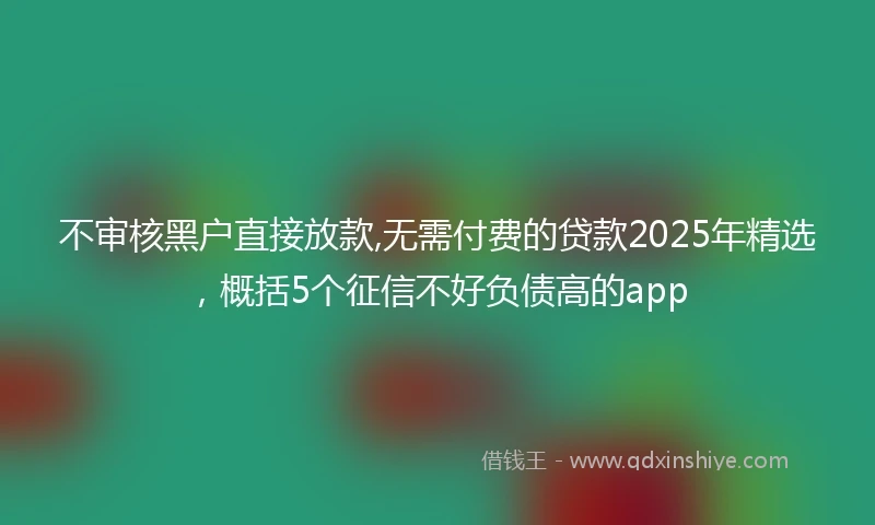 不审核黑户直接放款,无需付费的贷款2025年精选，概括5个征信不好负债高的app