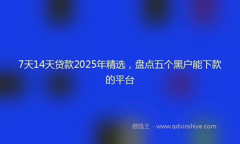 7天14天贷款2025年精选,盘点五个黑户能下款的平台