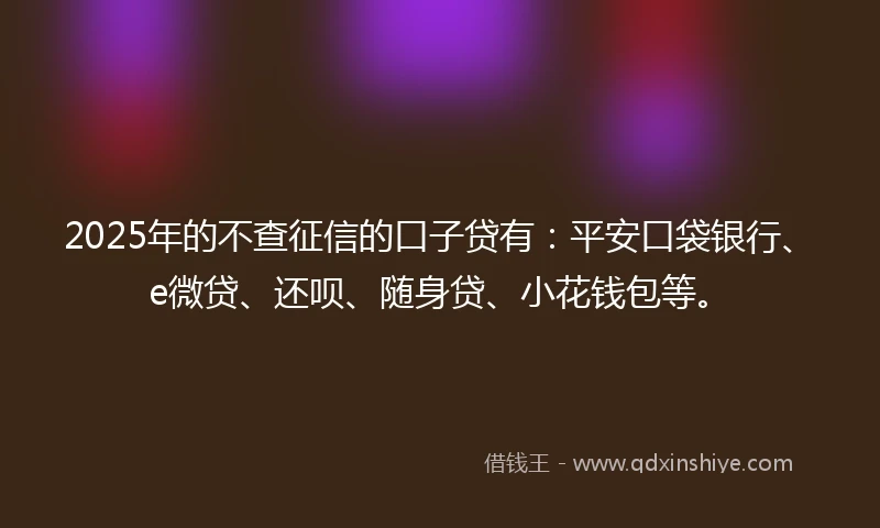 2025年的不查征信的口子贷有：平安口袋银行、e微贷、还呗、随身贷、小花钱包等。