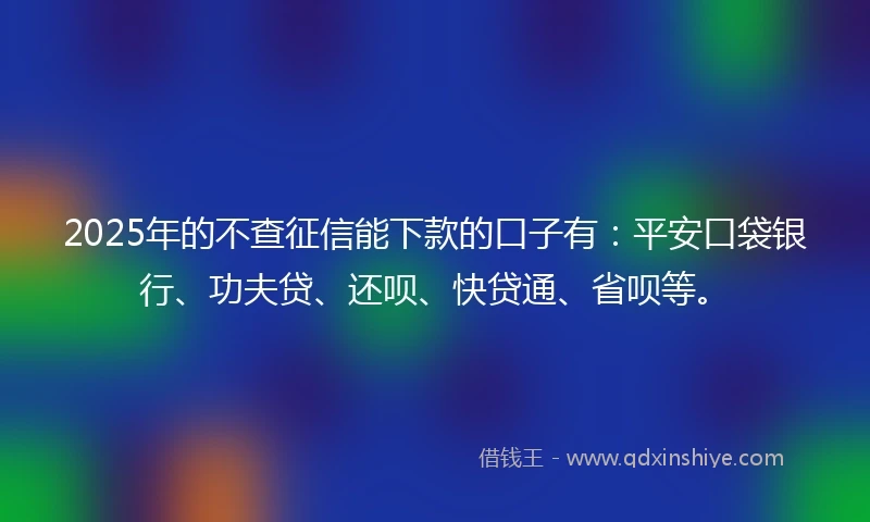 2025年的不查征信能下款的口子有：平安口袋银行、功夫贷、还呗、快贷通、省呗等。