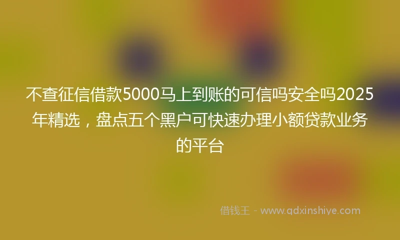 不查征信借款5000马上到账的可信吗安全吗2025年精选，盘点五个黑户可快速办理小额贷款业务的平台