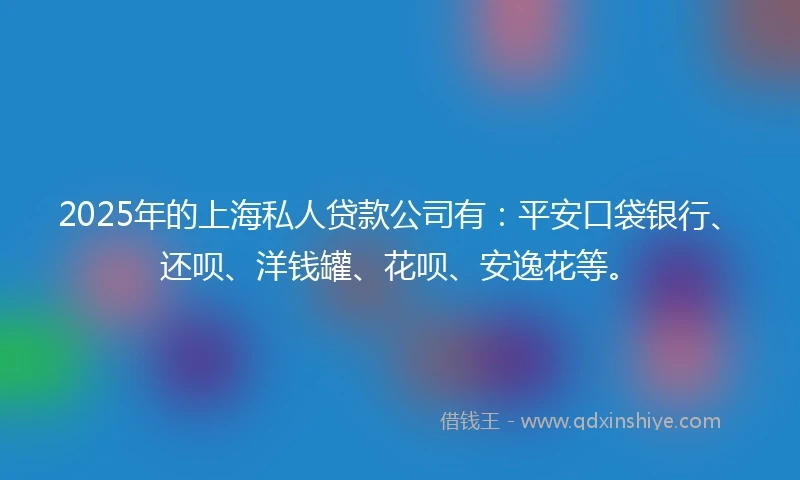 2025年的上海私人贷款公司有：平安口袋银行、还呗、洋钱罐、花呗、安逸花等。