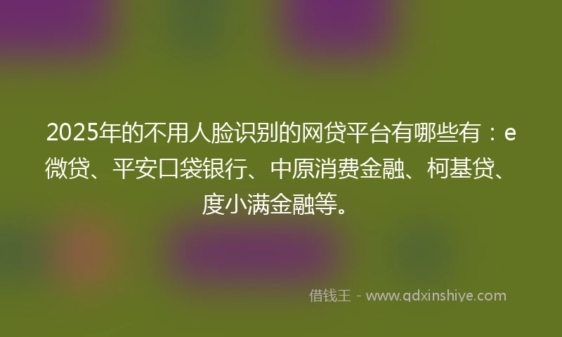 2025年的不用人脸识别的网贷平台有哪些有：e微贷、平安口袋银行、中原消费金融、柯基贷、度小满金融等。