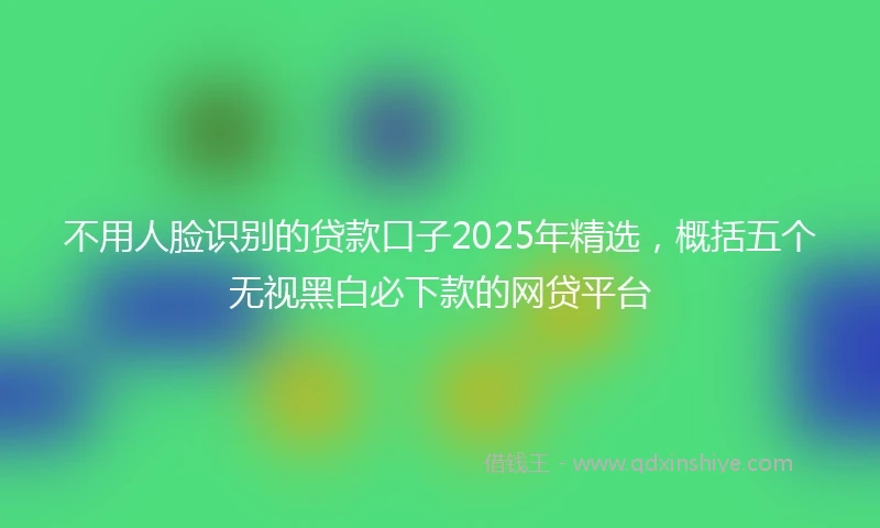 不用人脸识别的贷款口子2025年精选，概括五个无视黑白必下款的网贷平台