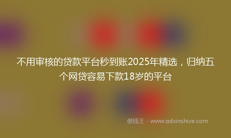 不用审核的贷款平台秒到账2025年精选，归纳五个网贷容易下款18岁的平台