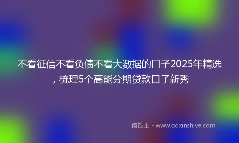 不看征信不看负债不看大数据的口子2025年精选，梳理5个高能分期贷款口子新秀