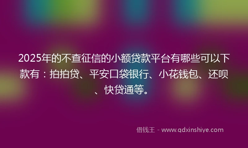 2025年的不查征信的小额贷款平台有哪些可以下款有：拍拍贷、平安口袋银行、小花钱包、还呗、快贷通等。