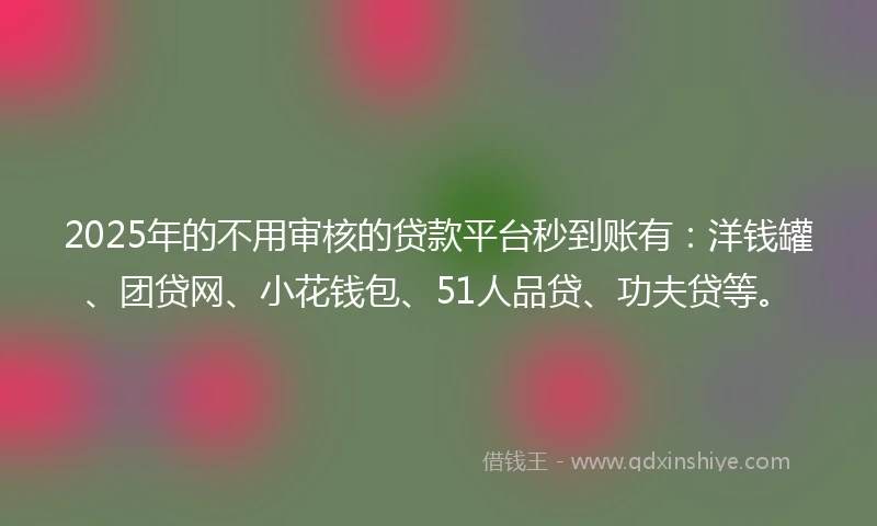 2025年的不用审核的贷款平台秒到账有：洋钱罐、团贷网、小花钱包、51人品贷、功夫贷等。