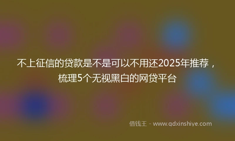 不上征信的贷款是不是可以不用还2025年推荐，梳理5个无视黑白的网贷平台