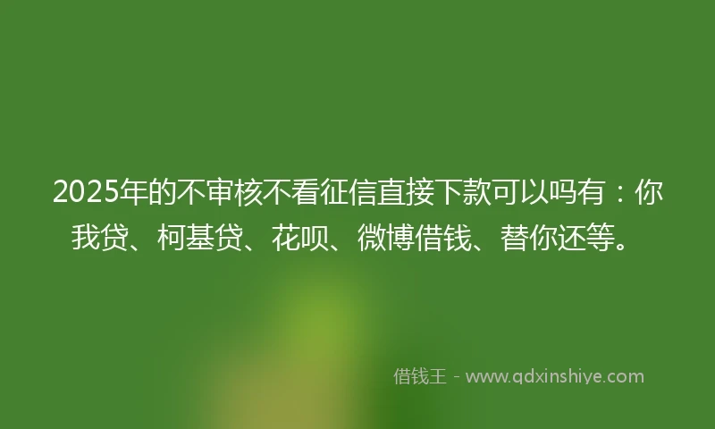 2025年的不审核不看征信直接下款可以吗有：你我贷、柯基贷、花呗、微博借钱、替你还等。