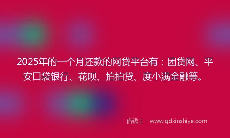 2025年的一个月还款的网贷平台有：团贷网、平安口袋银行、花呗、拍拍贷、度小满金融等。