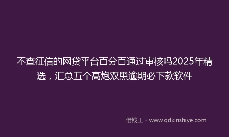 不查征信的网贷平台百分百通过审核吗2025年精选，汇总五个高炮双黑逾期必下款软件