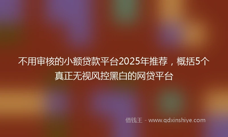不用审核的小额贷款平台2025年推荐，概括5个真正无视风控黑白的网贷平台