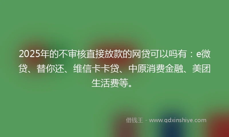 2025年的不审核直接放款的网贷可以吗有：e微贷、替你还、维信卡卡贷、中原消费金融、美团生活费等。
