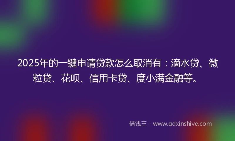 2025年的一键申请贷款怎么取消有：滴水贷、微粒贷、花呗、信用卡贷、度小满金融等。