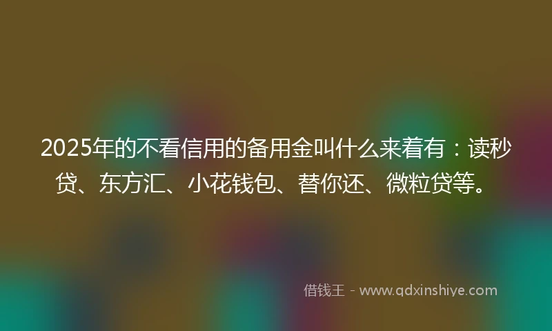 2025年的不看信用的备用金叫什么来着有：读秒贷、东方汇、小花钱包、替你还、微粒贷等。