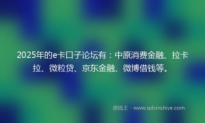 2025年的e卡口子论坛有：中原消费金融、拉卡拉、微粒贷、京东金融、微博借钱等。