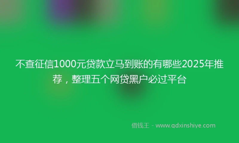 不查征信1000元贷款立马到账的有哪些2025年推荐，整理五个网贷黑户必过平台
